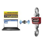 картинка Весы крановые ЕКМ-3000.3/2-W (высокоточные с Wi-Fi)